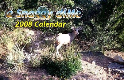 a Snaggy diMe 2008 Calendar