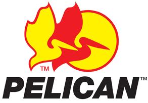 Pelican
