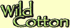 Wild Cotton