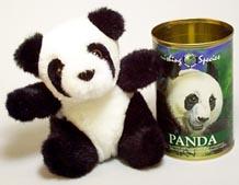 Vanishing Species: Panda