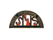 NSS Logo Pin