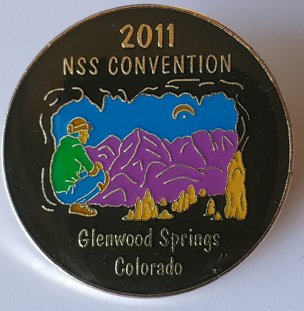 NSS Convention Pin 2011